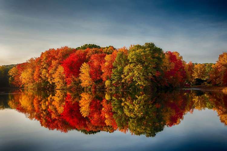 New England